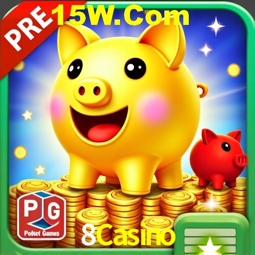 8Casino Rio de Janeiro - Bonus Terms